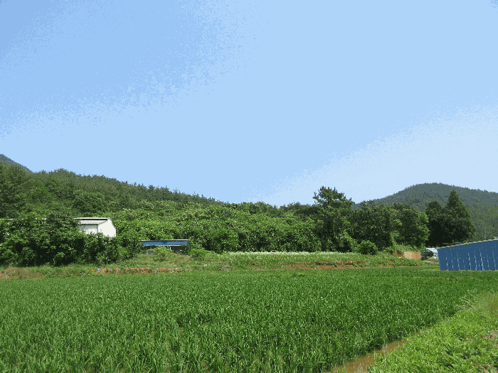경상남도 고성군 삼산면 미룡리 482-1 외 1필지 전 경매 사진 32