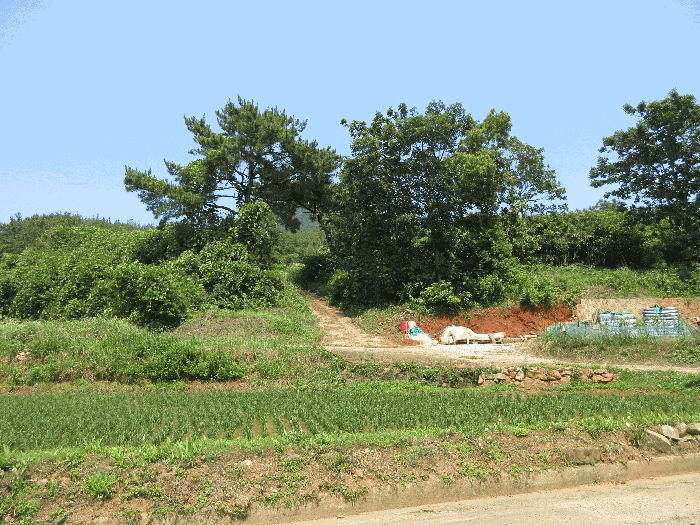 경상남도 고성군 삼산면 미룡리 482-1 외 1필지 전 경매 사진 41