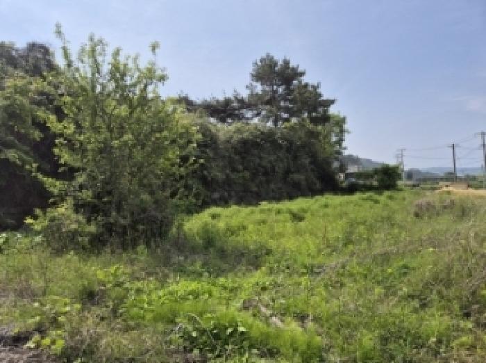 경상남도 고성군 삼산면 미룡리 482-1 외 1필지 전 경매 사진 6