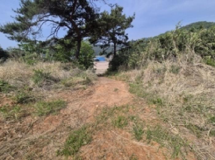 경상남도 고성군 삼산면 미룡리 482-1 외 1필지 전 경매 사진 7