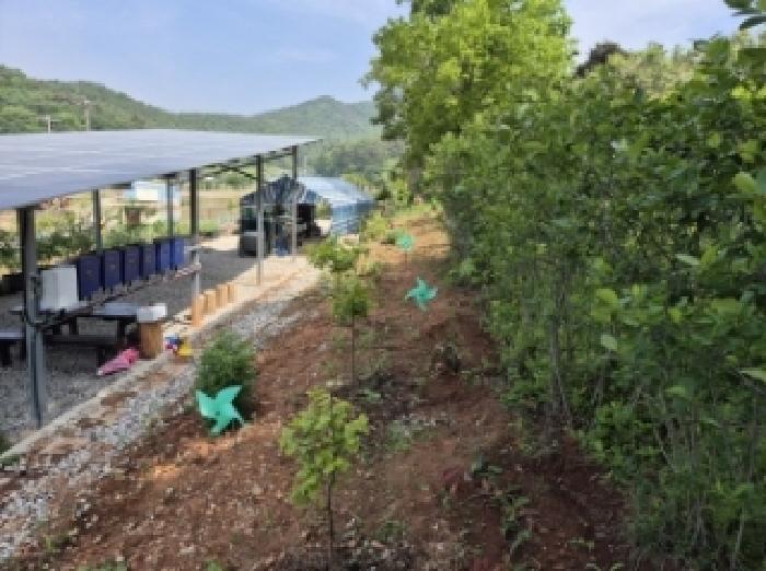 경상남도 고성군 삼산면 미룡리 482-1 외 1필지 전 경매 사진 10
