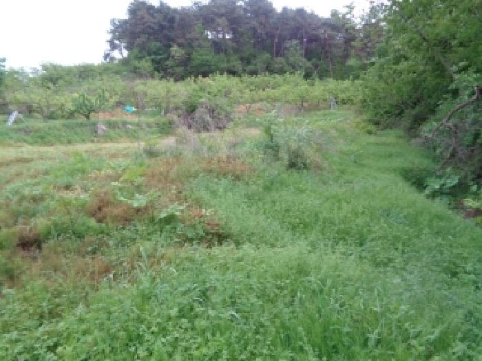 전북특별자치도 전주시 완산구 삼천동3가 178 외 2필지 답 경매 사진 3