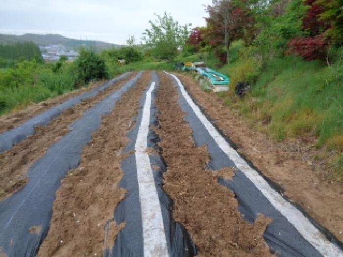 전북특별자치도 전주시 완산구 삼천동3가 178 외 2필지 답 경매 사진 7