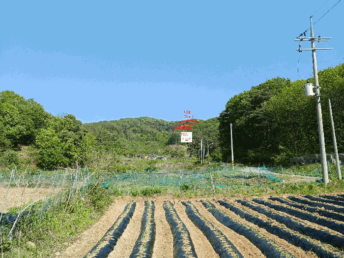 경기도 안성시 죽산면 용설리 산106-3 임야 경매 사진 2