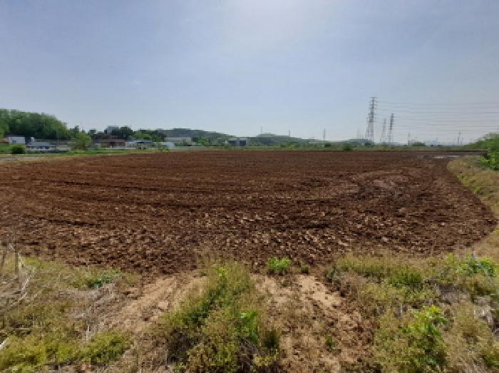충청남도 당진시 송악읍 월곡리 57-1 외 2필지 답 경매 사진 2