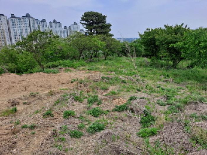 충청남도 당진시 송악읍 기지시리 109-13 외 6필지 임야 경매 사진 2