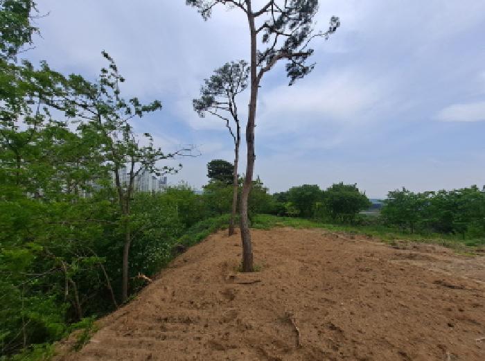 충청남도 당진시 송악읍 기지시리 109-13 외 6필지 임야 경매 사진 3