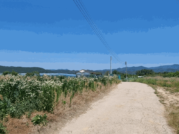 경상북도 영천시 임고면 평천리 189-1 전 경매 사진 11