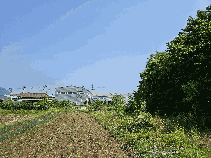 경상남도 김해시 진례면 담안리 518 외 6필지 전 경매 사진 14