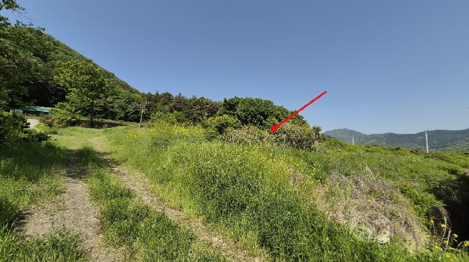 경상남도 창원시 마산합포구 진북면 이목리 363 전 경매 사진 18