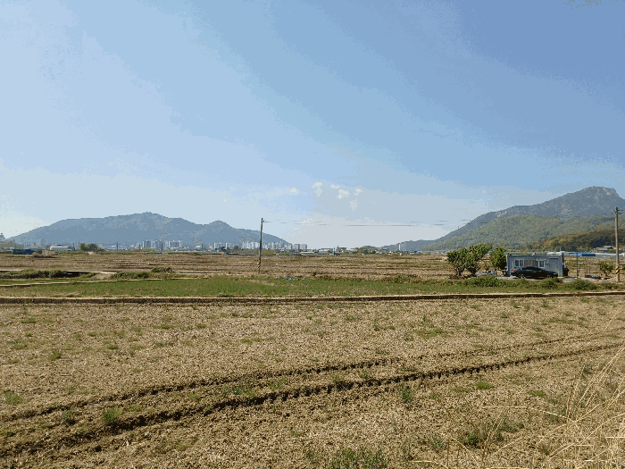 경상남도 사천시 향촌동 127-17 답 경매 사진 14