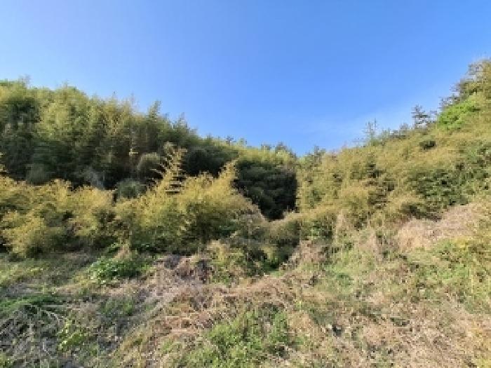 경상남도 사천시 서포면 외구리 327 외 1필지 대지 경매 사진 1