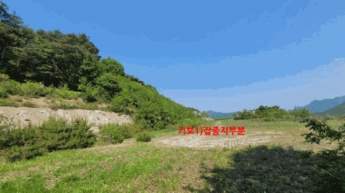 전북특별자치도 무주군 적상면 사산리 산232 임야 경매 사진 10