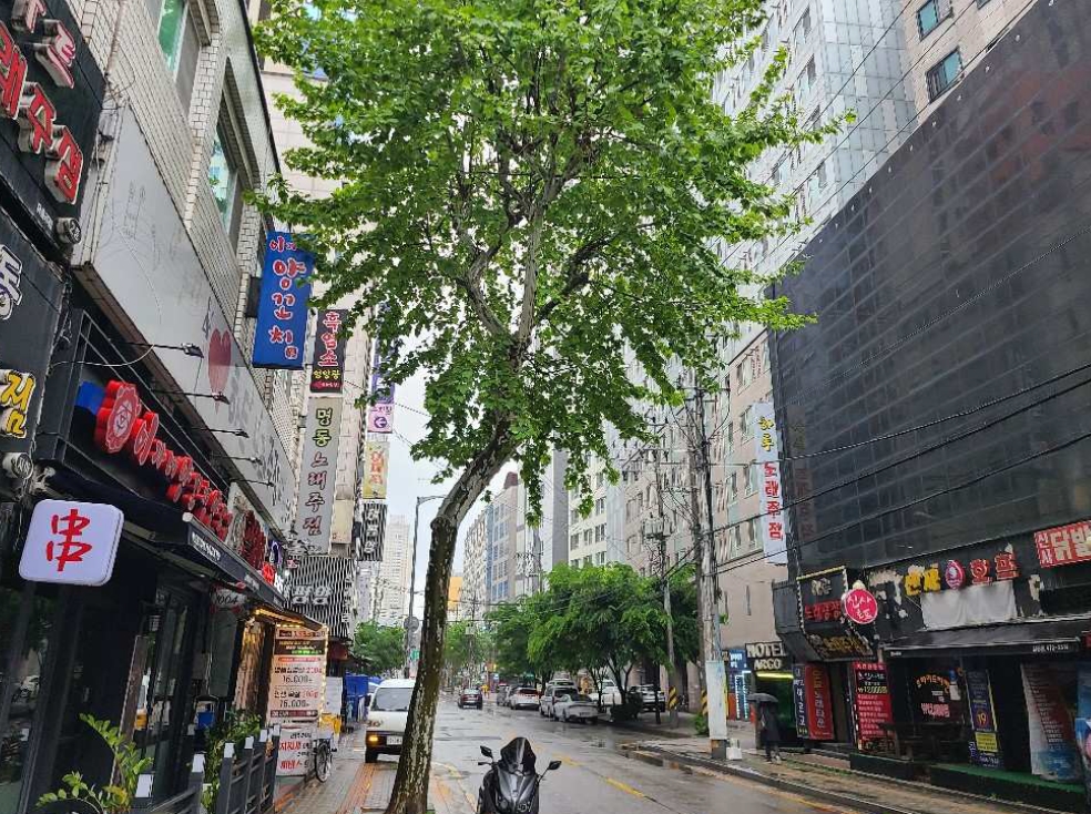 서울특별시 강동구 길동 415-16 청광플러스원큐브3차 13층 1305호 아파트 경매 사진 15