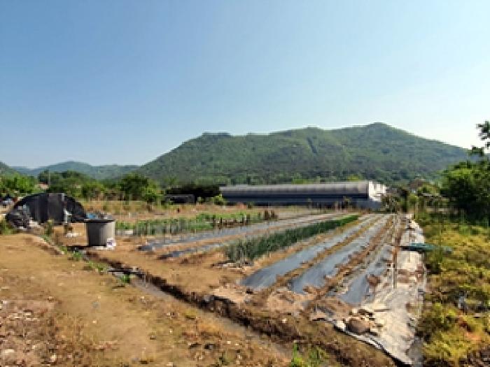 경상남도 김해시 대동면 주중리 325 답 경매 사진 8