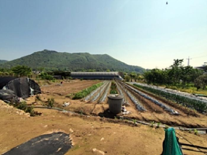 경상남도 김해시 대동면 주중리 325 답 경매 사진 9
