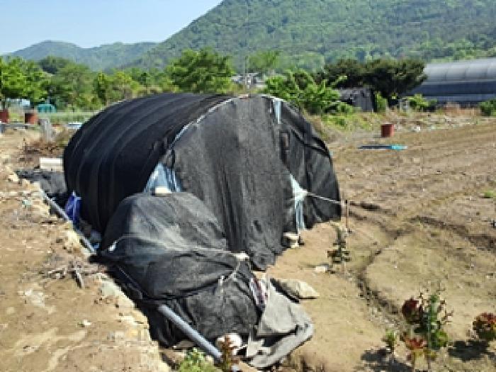 경상남도 김해시 대동면 주중리 325 답 경매 사진 10