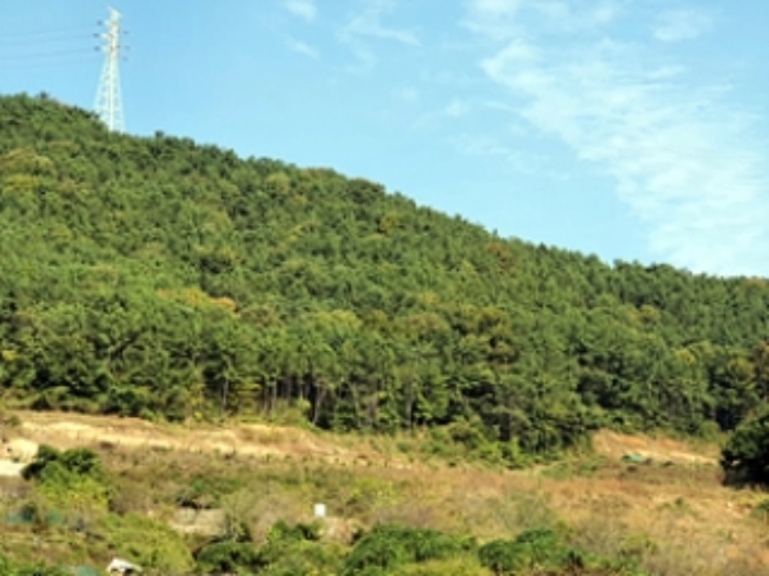 경상남도 창원시 진해구 청안동 산37 임야 경매 사진 1