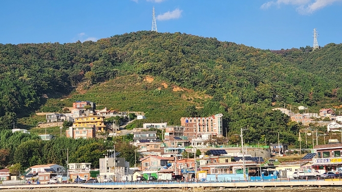 경상남도 창원시 진해구 청안동 산37 임야 경매 사진 4