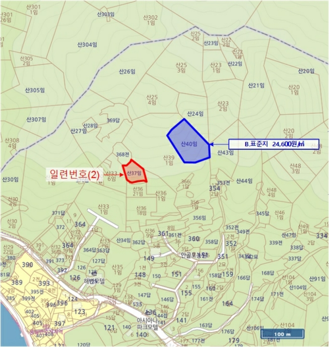 경상남도 창원시 진해구 청안동 산37 임야 경매 사진 5