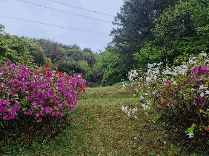 경기도 광주시 도척면 추곡리 91 전 경매 사진 7