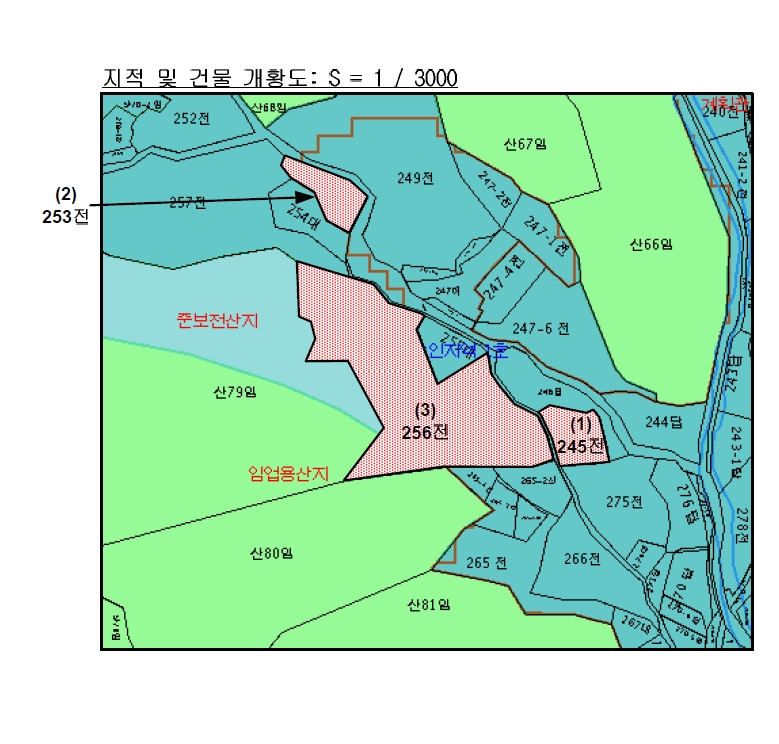 강원특별자치도 춘천시 사북면 송암리 245 외 1필지 전 경매 사진 37