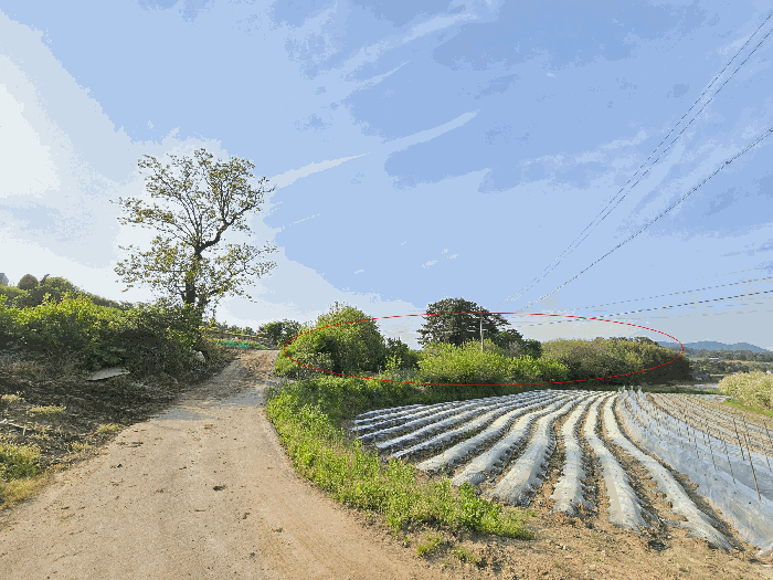 충청남도 서산시 지곡면 대요리 402-8 외 3필지 대지 경매 사진 11