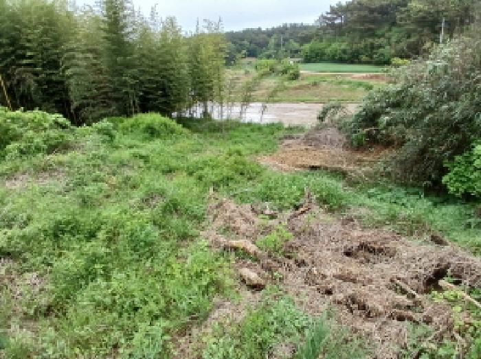 충청남도 서산시 지곡면 대요리 402-8 외 3필지 대지 경매 사진 9