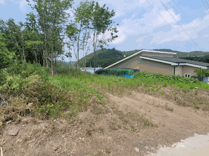 경상북도 영천시 화남면 사천리 721 과수원 경매 사진 15