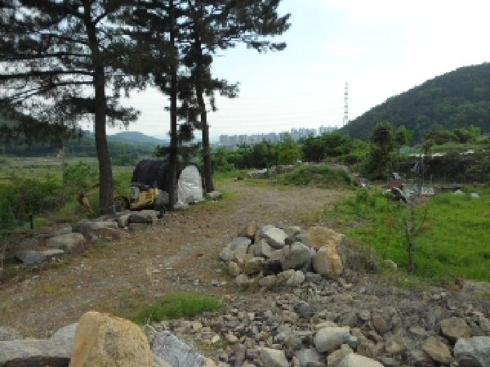 대구광역시 달성군 유가읍 양리 383-1 대지 경매 사진 14