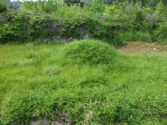 대구광역시 달성군 유가읍 양리 383-1 대지 경매 사진 15