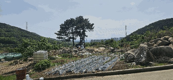 대구광역시 달성군 유가읍 양리 383-1 대지 경매 사진 16