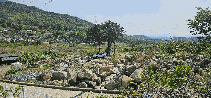 대구광역시 달성군 유가읍 양리 383-1 대지 경매 사진 17