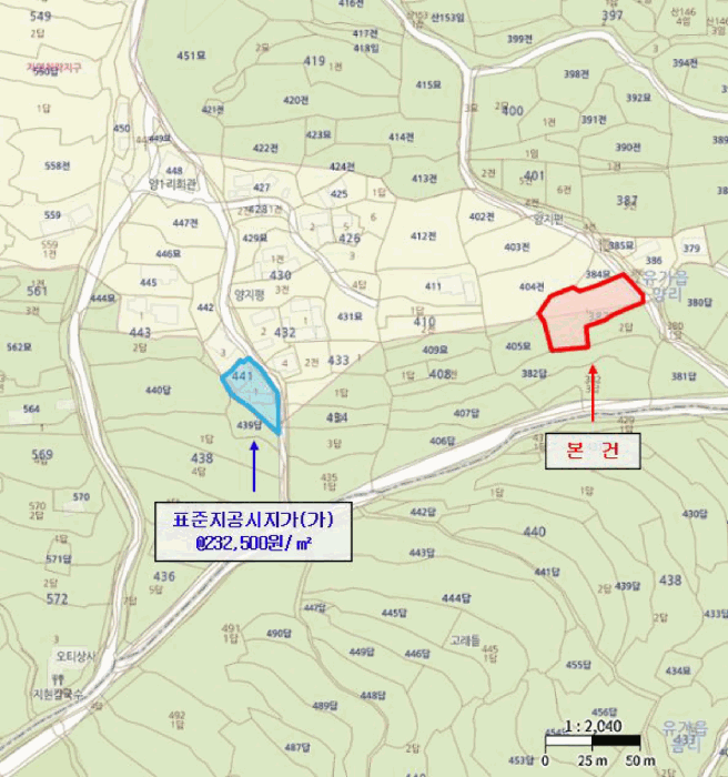 대구광역시 달성군 유가읍 양리 383-1 대지 경매 사진 20
