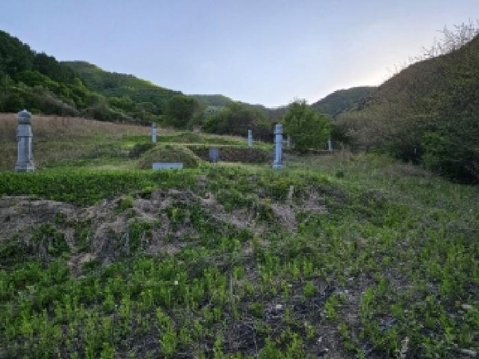 경상북도 봉화군 명호면 풍호리 665 전 경매 사진 16