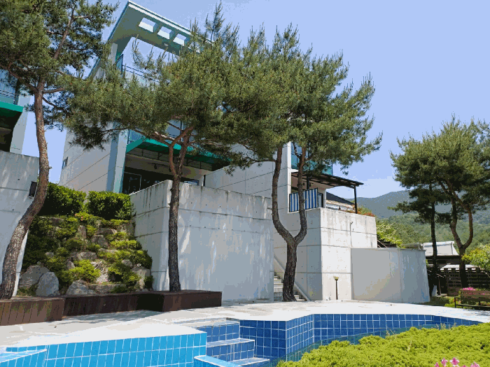 경상북도 경주시 하동 656-19 외 1필지 숙박시설 경매 사진 18