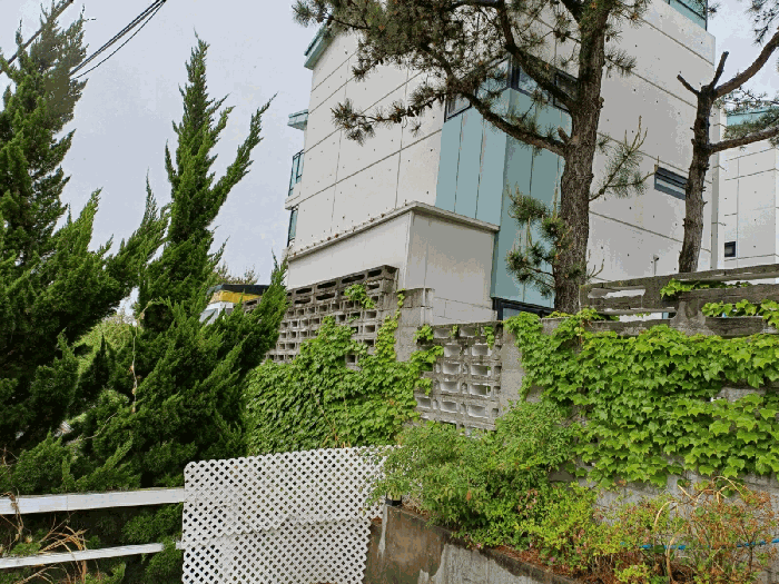 경상북도 경주시 하동 656-19 외 1필지 숙박시설 경매 사진 5