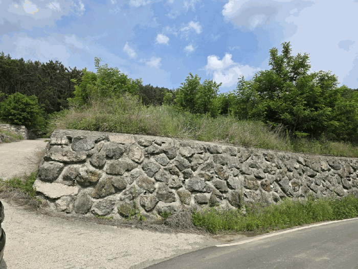 경상북도 경주시 광명동 791-8 과수원 경매 사진 4
