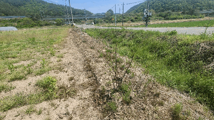 경상남도 진주시 사봉면 부계리 1124 전 경매 사진 49