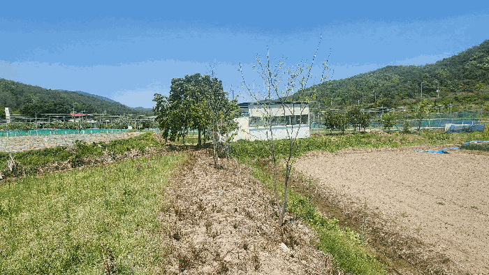 경상남도 진주시 사봉면 부계리 1124 전 경매 사진 51