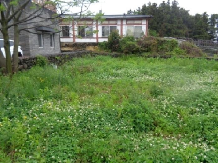 제주특별자치도 제주시 애월읍 고성리 123-4 외 2필지 단독주택 경매 사진 29