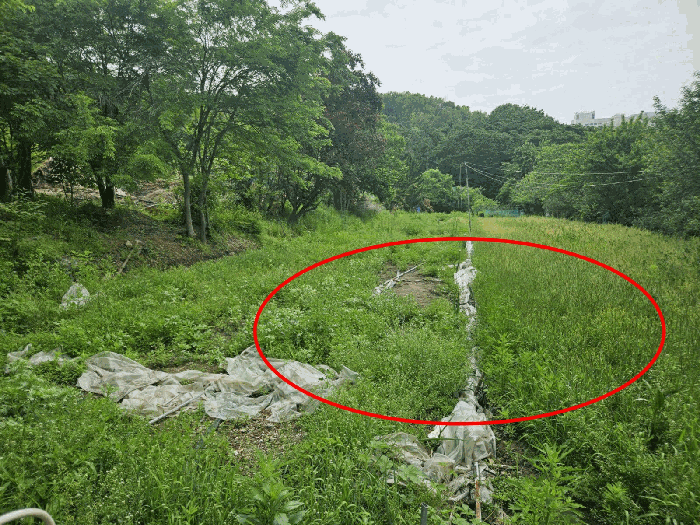서울특별시 강남구 자곡동 215 답 경매 사진 25