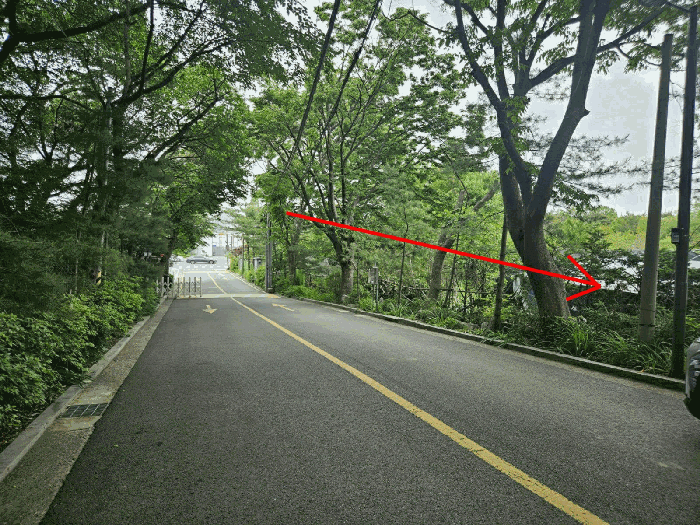 서울특별시 강남구 자곡동 215 답 경매 사진 28