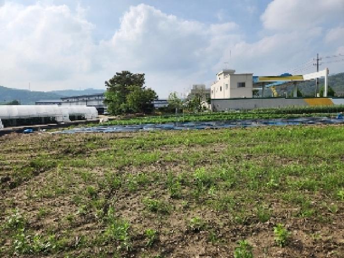 경기도 양주시 남면 매곡리 62-2 외 2필지 전 경매 사진 6
