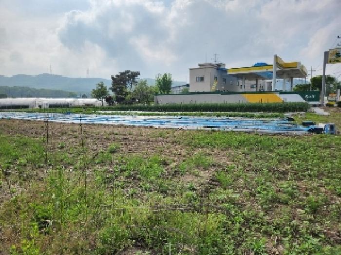 경기도 양주시 남면 매곡리 62-2 외 2필지 전 경매 사진 9