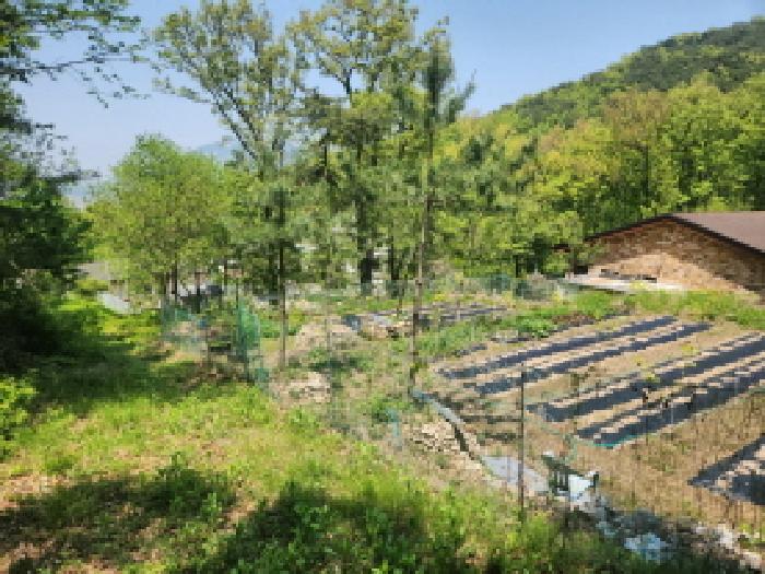 인천광역시 강화군 하점면 망월리 271-12 대지 경매 사진 18