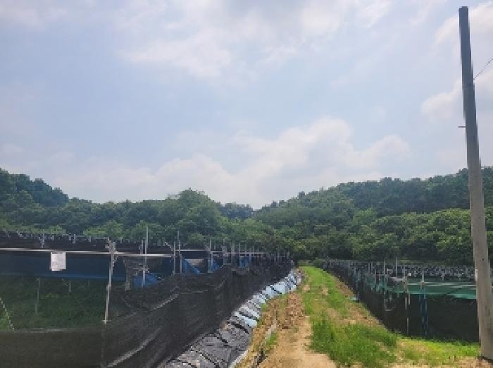 충청남도 공주시 이인면 신영리 458-6 임야 경매 사진 1