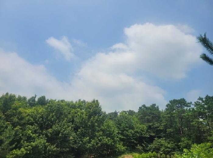 충청남도 공주시 이인면 신영리 458-6 임야 경매 사진 2