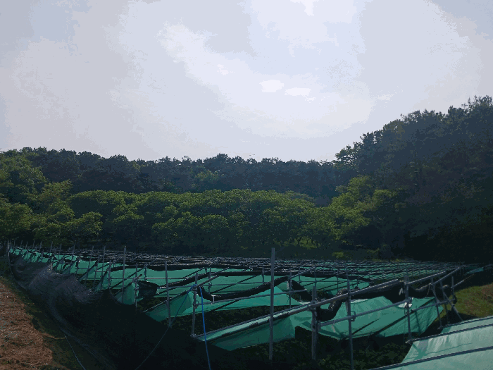충청남도 공주시 이인면 신영리 458-6 임야 경매 사진 5