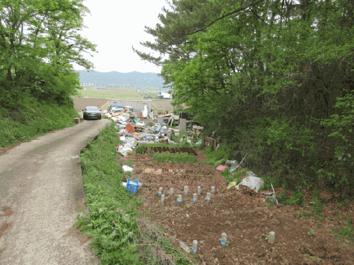 경상북도 영천시 임고면 평천리 349 전 경매 사진 20